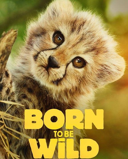 مسلسل Born to be Wild الموسم الاول الحلقة 3 مترجمة