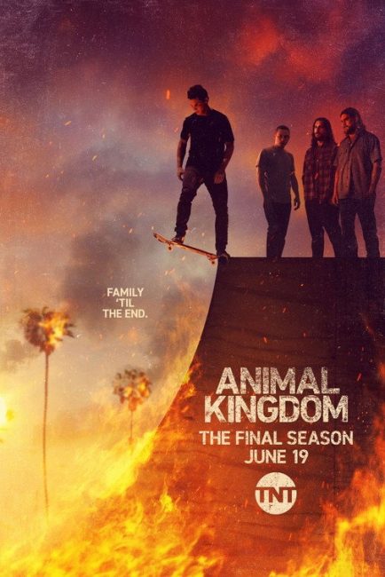 مشاهدة مسلسل Animal Kingdom الموسم السادس الحلقة 1 مترجمة