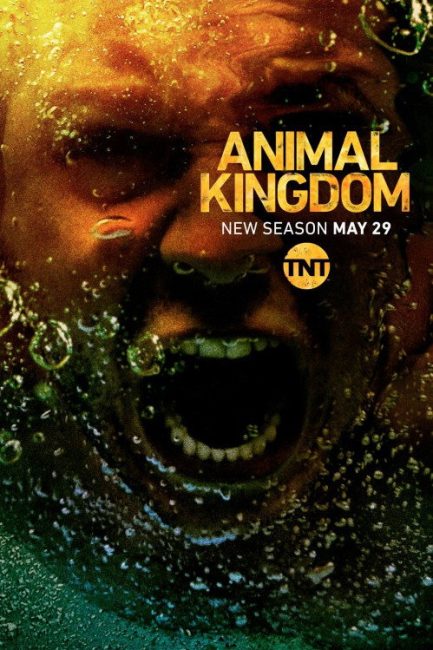 مشاهدة مسلسل Animal Kingdom الموسم الثالث الحلقة 7 مترجمة