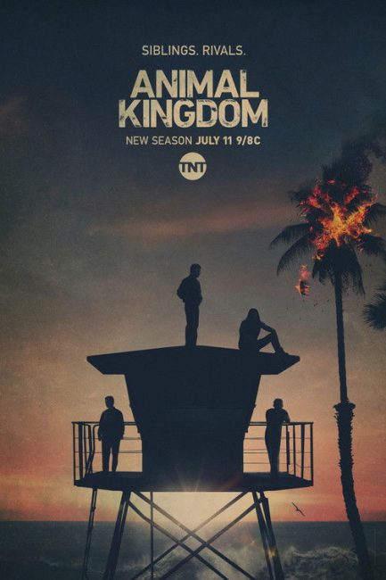 مشاهدة مسلسل Animal Kingdom الموسم الخامس الحلقة 12 مترجمة