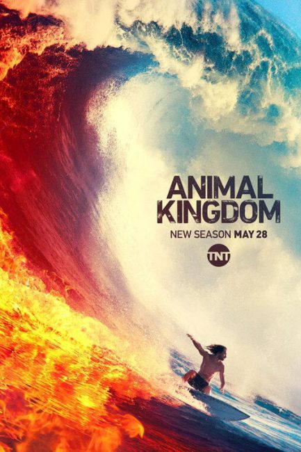 مشاهدة مسلسل Animal Kingdom الموسم الرابع الحلقة 7 مترجمة